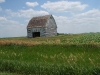 Lone barn in Iowa