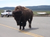 BUF BUBMOBILE